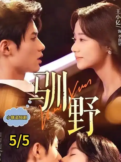 云雾之城热播电视剧海报